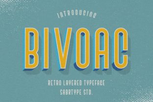 Bivoac: The Premium Display Font for Handmade Brands
