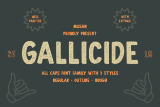 Gallicide: The Vintage Display Typeface for Handmade Brands