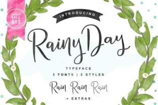 Rainy Day Typeface: A Fluid Hand-Drawn Script for Modern Branding