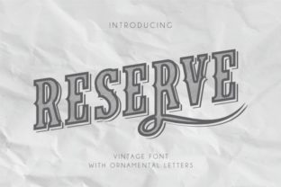 Reserve: The Ultimate Display Font for Modern Designers