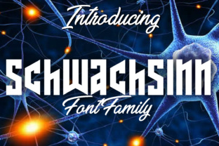 Schwachsinn: A Gothic Display Font for Bold Editorial Design