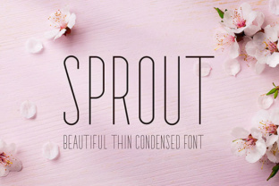 Sprout Font for Elegant Branding and Wedding Designs